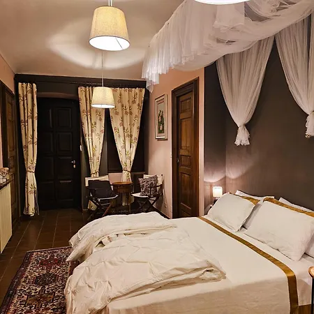 Aedel Lxr Torino