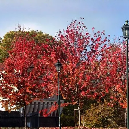 Διαμέρισμα Aedel Lxr Τορίνο